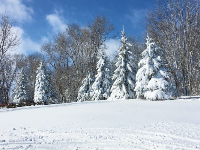 Snow daze